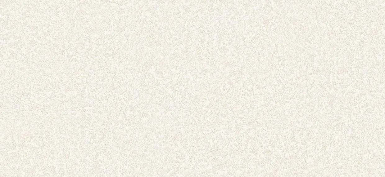 Bodaq BLC02 Mono Blanc architectural interior film swatch