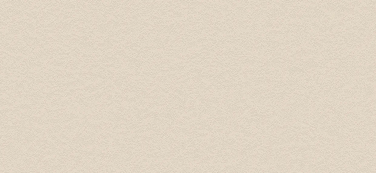 Bodaq PNC42 Premium Painted Concrete architectural interior film swatch