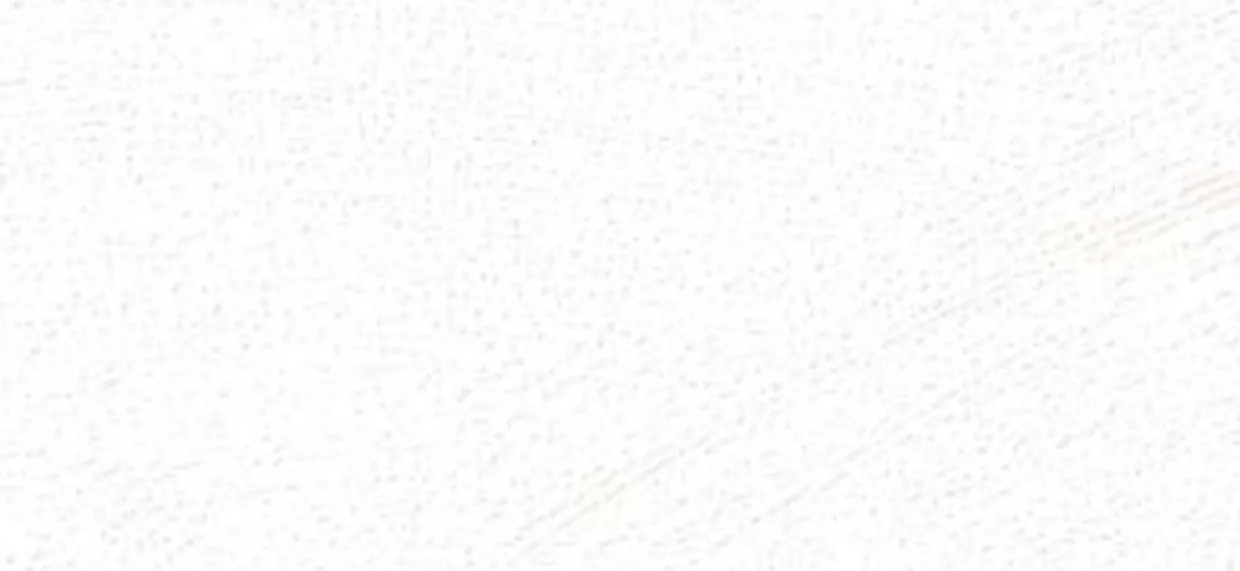 Bodaq PNC51 Premium Painted Concrete architectural interior film swatch