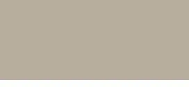 Bodaq S156 Solid interior film swatch