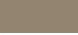 Bodaq S157 Solid interior film swatch