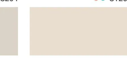 Bodaq S179 Solid interior film swatch