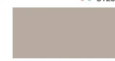 Bodaq S181 Solid interior film swatch