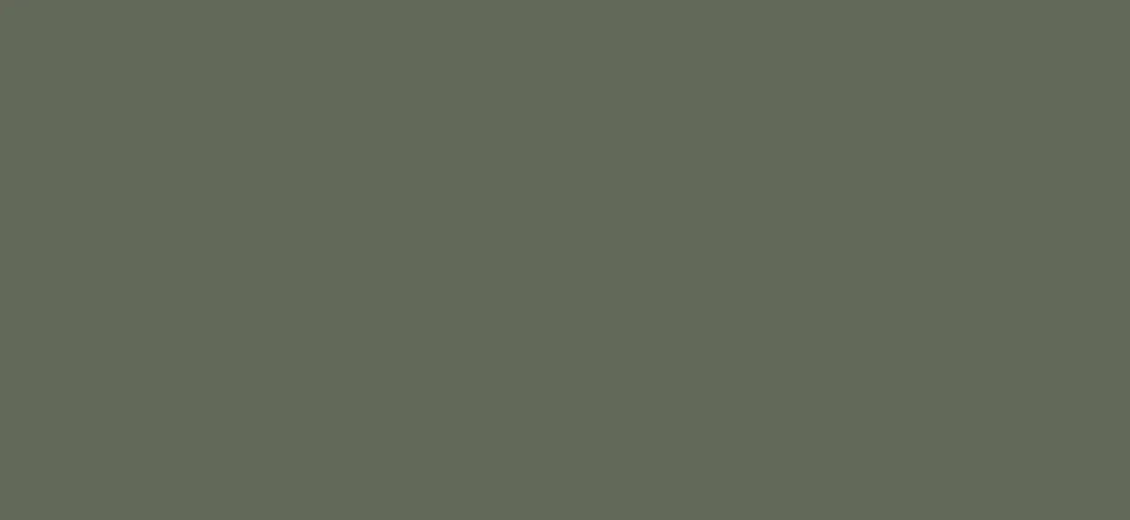 Bodaq S201 Solid architectural interior film swatch