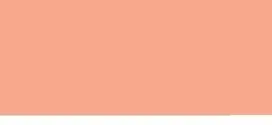 Bodaq S213 Solid interior film swatch