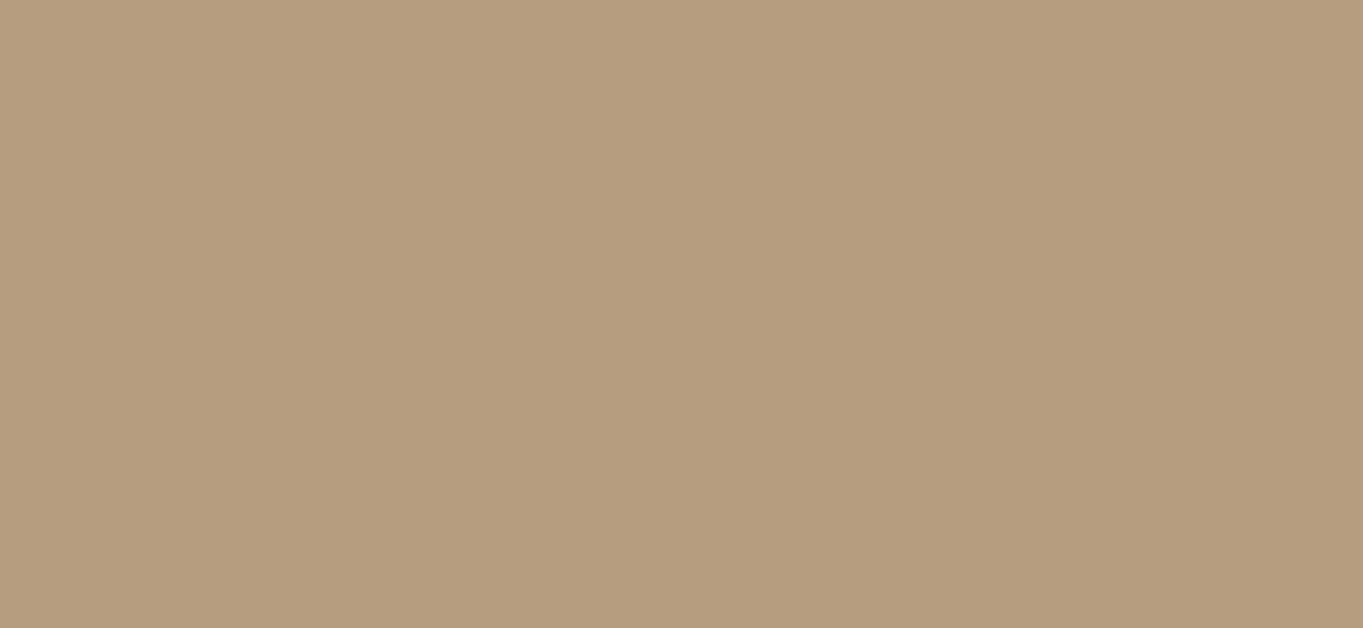 Bodaq S215 Solid architectural interior film swatch