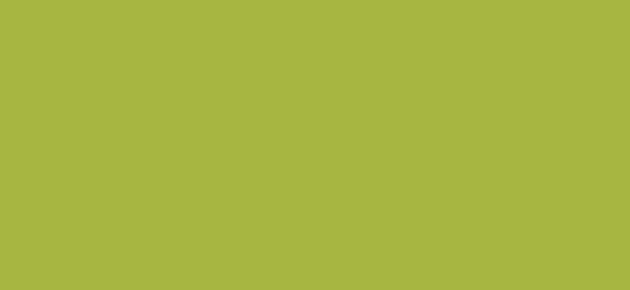 Bodaq S219 Solid architectural interior film swatch