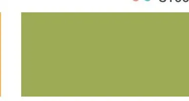 Bodaq S219 Solid interior film swatch