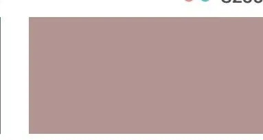 Bodaq S237 Solid interior film swatch