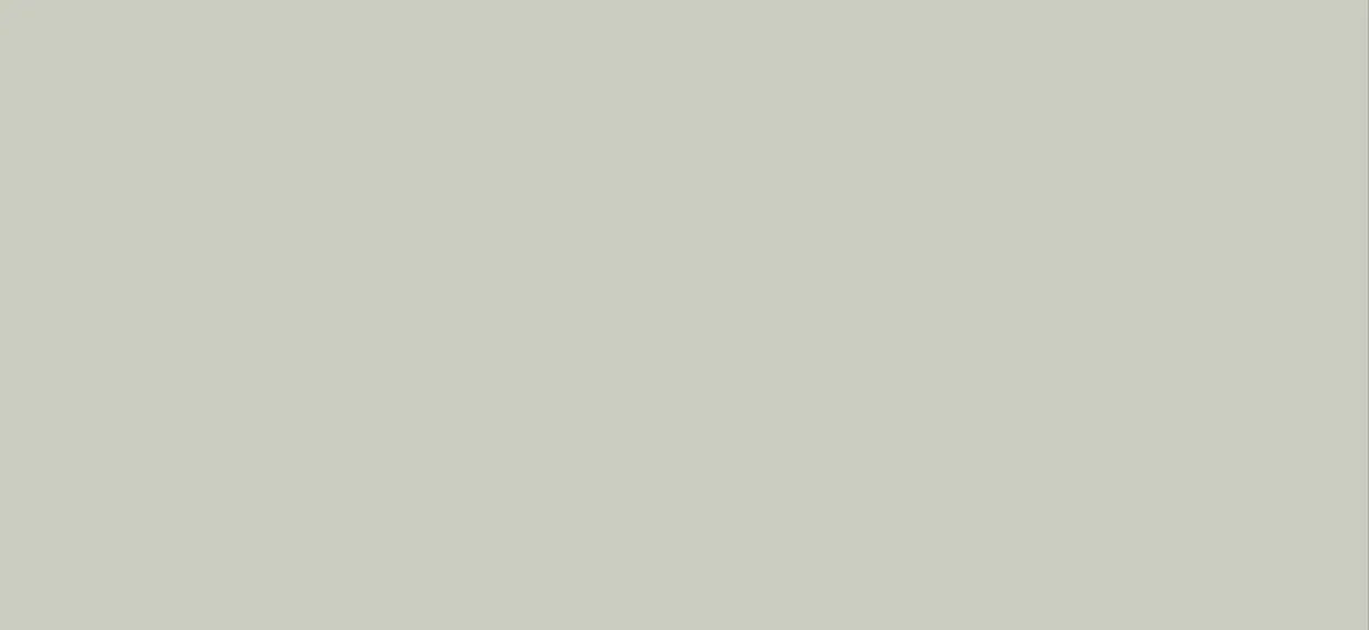 Bodaq S239 Solid architectural interior film swatch