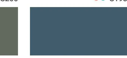 Bodaq S242 Solid interior film swatch