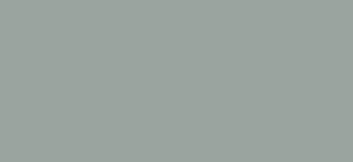 Bodaq S248 Solid architectural interior film swatch