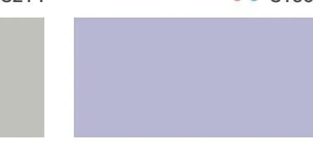 Bodaq S249 Solid interior film swatch