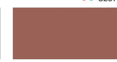 Bodaq S251 Solid interior film swatch