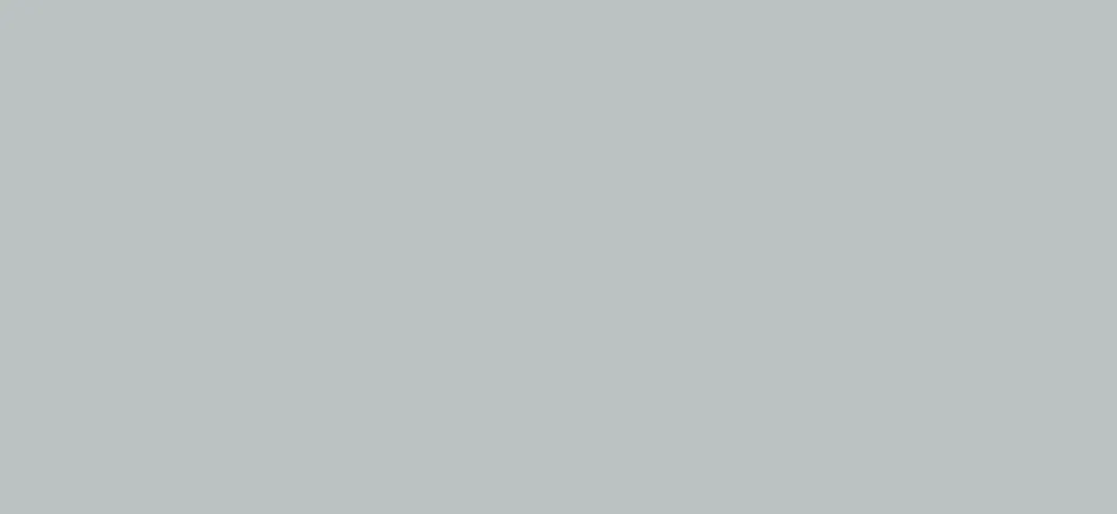 Bodaq S258 Solid architectural interior film swatch