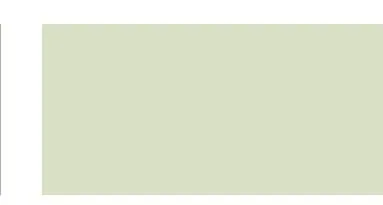 Bodaq S261 Solid interior film swatch