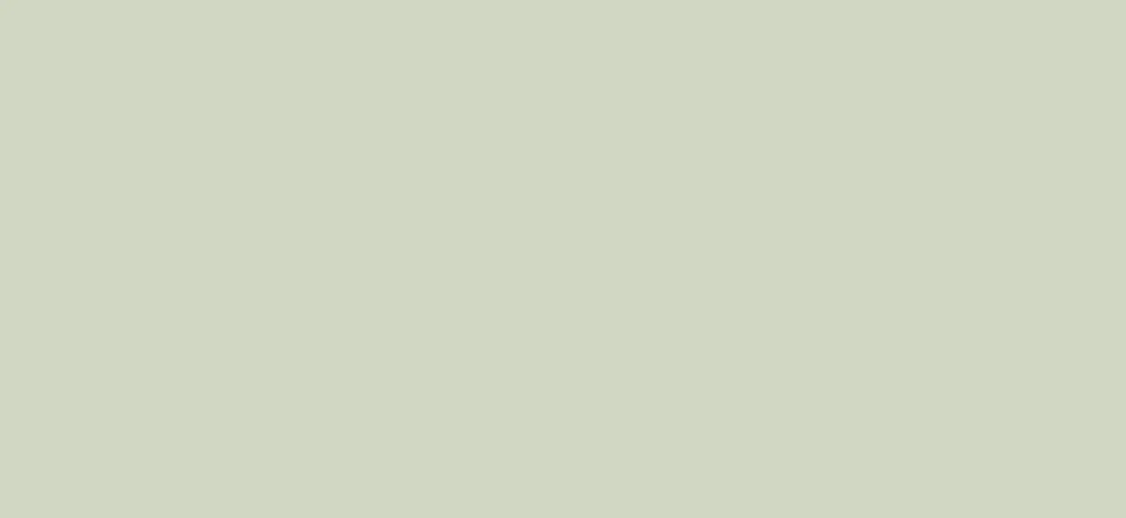 Bodaq SMT20 Super Matt Super Matt architectural interior film swatch