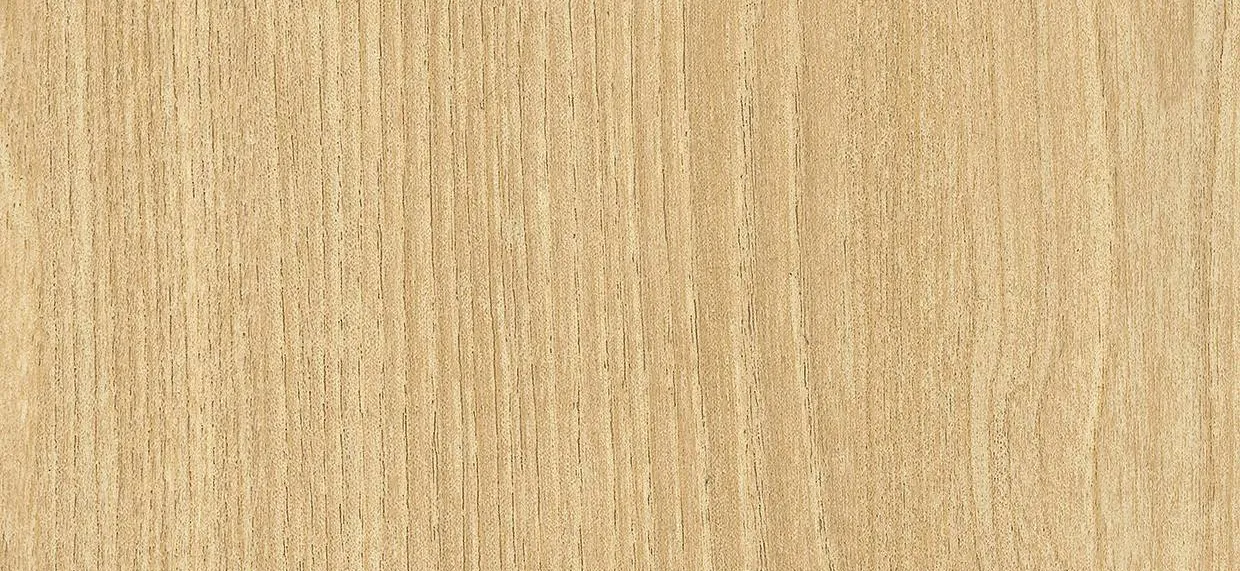 Bodaq W879 Ash Standard Wood architectural interior film swatch
